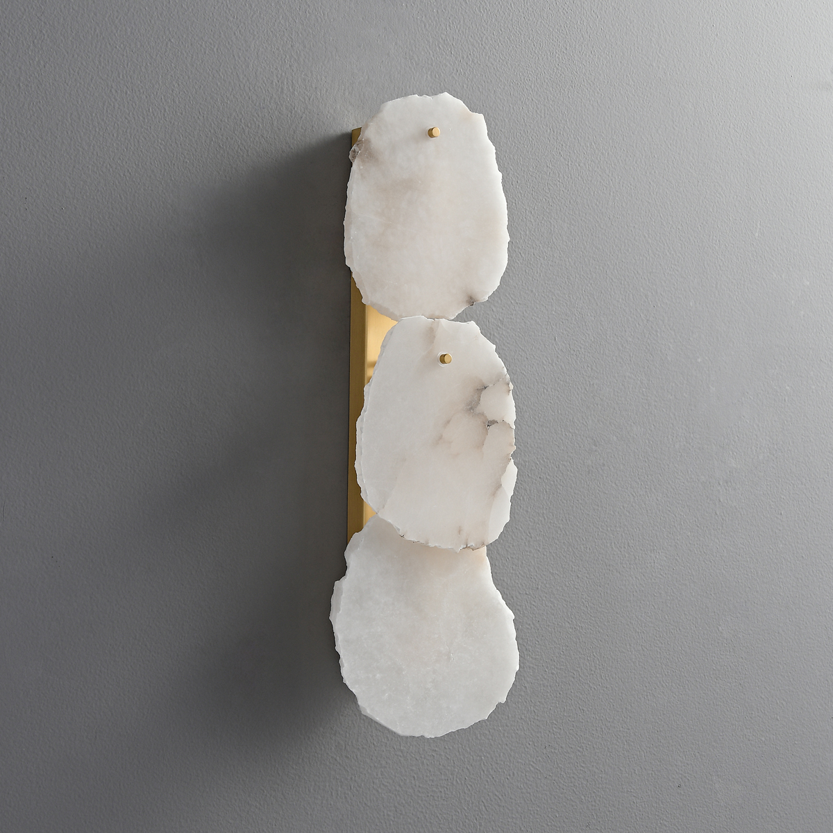 Modern Organic Wall Sconce 5 Modern Organic Wall Sconce - Image 5